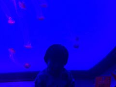 -沈阳海洋探索中心