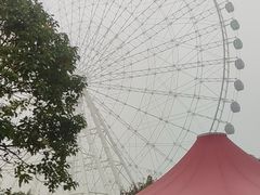 -凤岭儿童公园