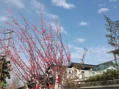 -成都院坝精品私汤民宿酒店