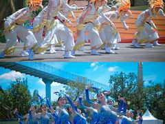 -七彩云南欢乐世界