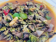 -梅子大排档