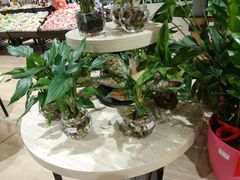 -AEON永旺(东方宝泰店)