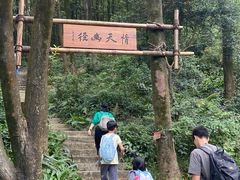 -广州市帽峰山景区
