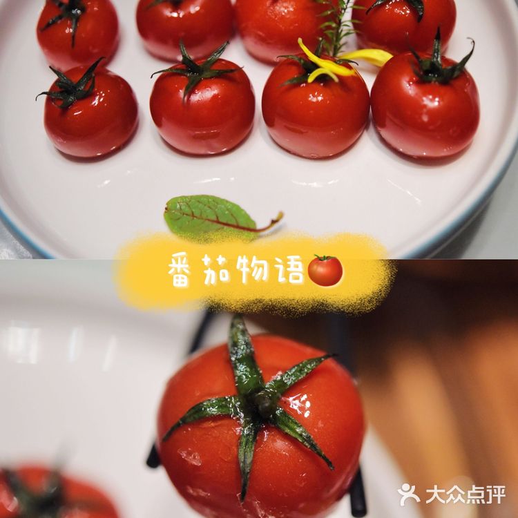 瓷文化与美食的完美邂逅,让你这一餐更有仪式感