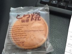 -林记开心动物奶油生日蛋糕(凤凰城店)
