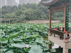 -龙头寺公园