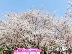 -苏州上方山国家森林公园