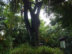 -厦门日月谷温泉渡假村