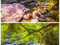 -银瓶山森林公园(谢岗镇)