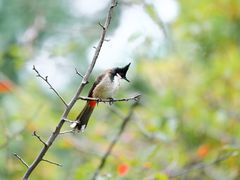 -上海市龙华烈士陵园