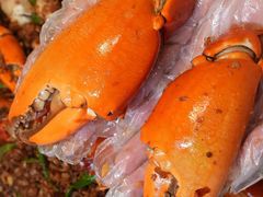 -喜记避风塘炒辣蟹(旗舰店)