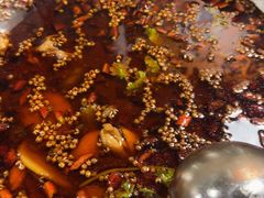 -味之绝热血美蛙鱼火锅(中坝店)