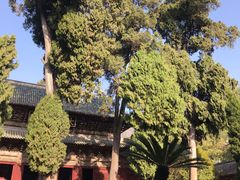 -报恩寺(平武县)