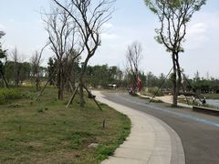 -白鹭湾湿地公园