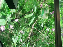 -188西餐厅(园林宾馆店)