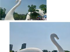 -南昌动物园