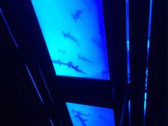 -海洋公园海洋列车－海滨站