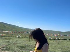 -郭莽湿地