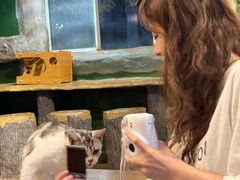 -猫猫幼稚园·撸猫·桌游·电玩