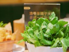 -浩爷羊蝎子火锅(望京店)