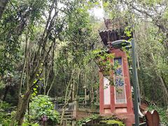 -成都老君山