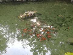 -竹泉村旅游度假区