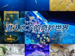 -海合安青岛极地海洋公园
