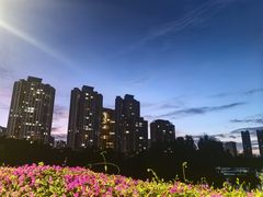 -三亚凤凰水城凯莱度假酒店