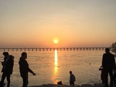 -宝安西湾红树林湿地公园