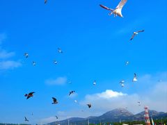 -海驴岛(荣成市)