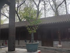 -嵩祝寺及智珠寺
