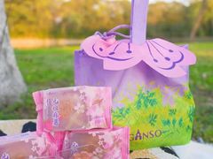 -GANSO元祖食品(金菊路店)