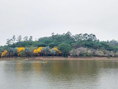 -南国桃园旅游度假区