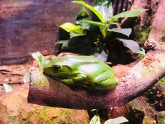 -正佳雨林生态植物园