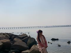 -宝安西湾红树林湿地公园