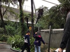 -墨尔本博物馆(Melbourne Museum)