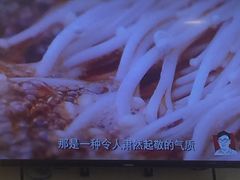 -南城香(欧陆经典万兴苑店)