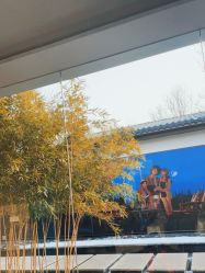 -爱儿美儿童摄影(朝阳公园店)