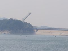 -望湖烤鱼