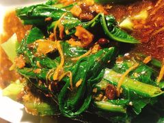 鲮鱼油麦菜-听香·678茶铺(猛追湾店)