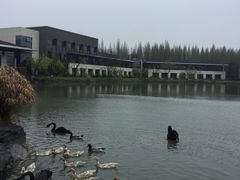 -上海怡沁园度假酒店
