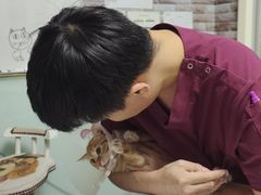 -纳吉亚猫专科动物医院博雅分院