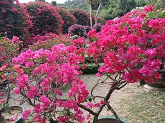 -三亚蜈支洲岛旅游区