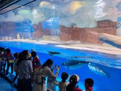 -海合安成都极地海洋公园