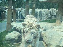 -北京野生动物园