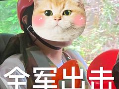 -将军关探险漂流