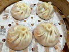 -莱莱小笼·乔艾