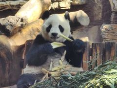 -石家庄市动物园