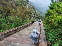 -泰山风景名胜区