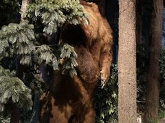 -陕西自然博物馆